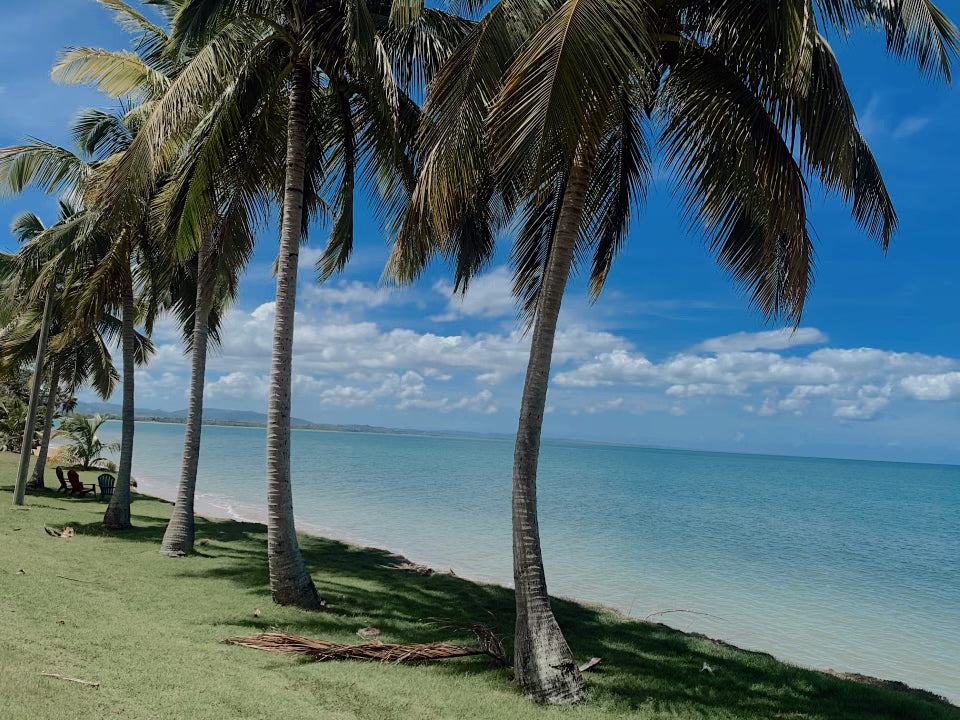 Playa Almirante - Añasco