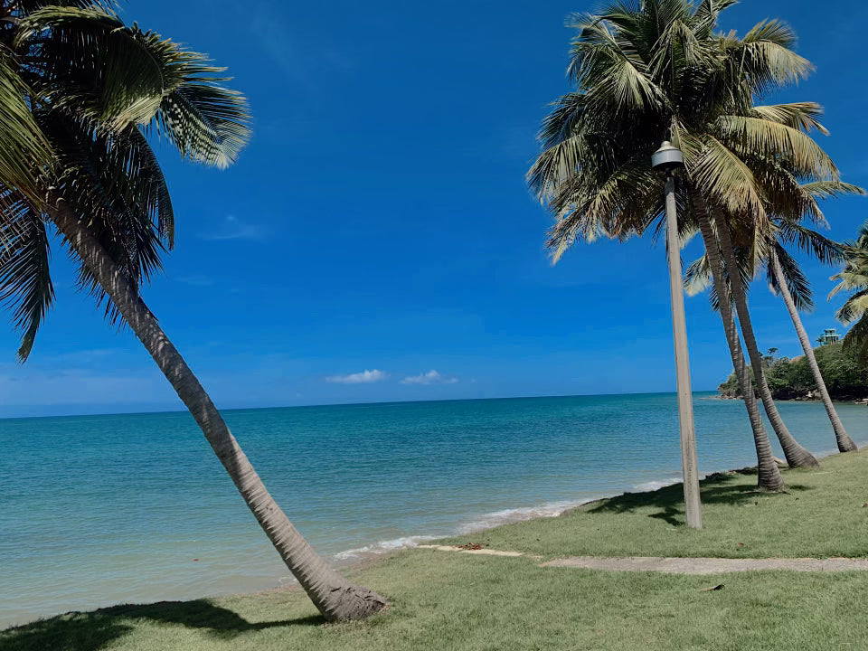 Playa Almirante - Añasco