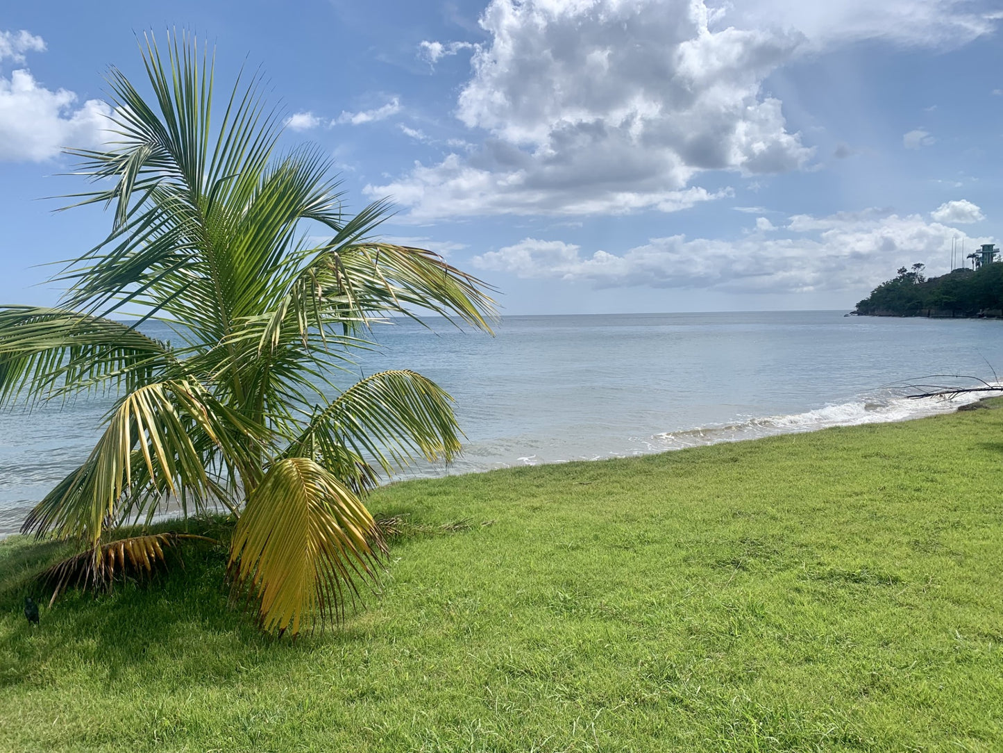 Playa Almirante, Añasco - Ocean Front Apartment