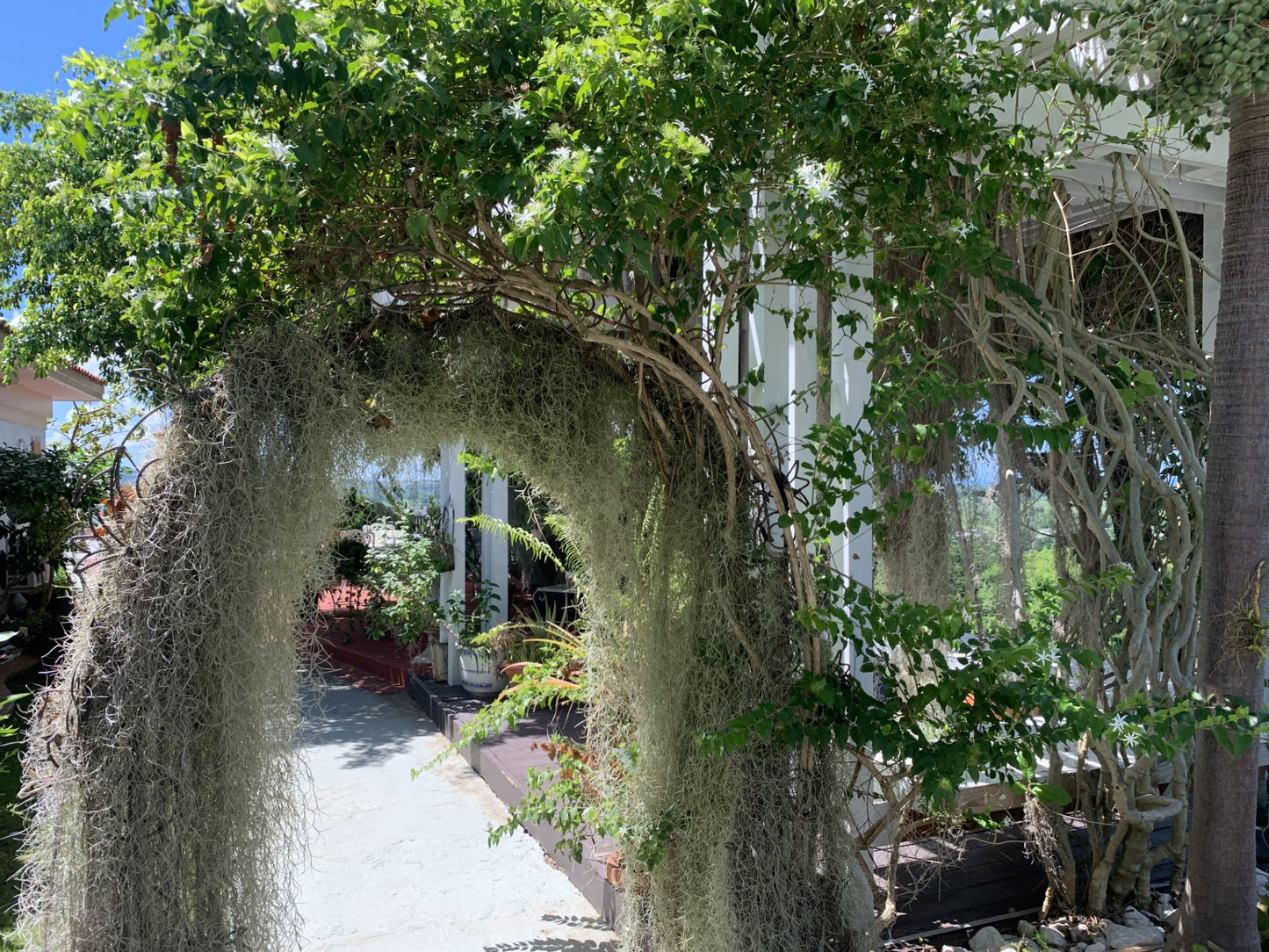 House with spectacular views!!