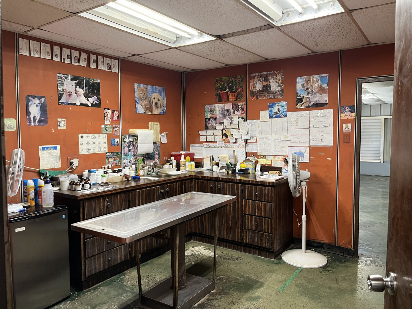 Comercial Property for Sale in Mayagüez