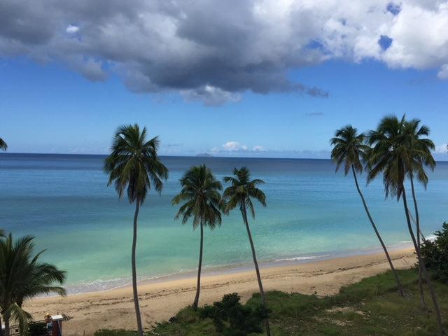 Macor by the Sea Condo - Corcega Beach, Rincón