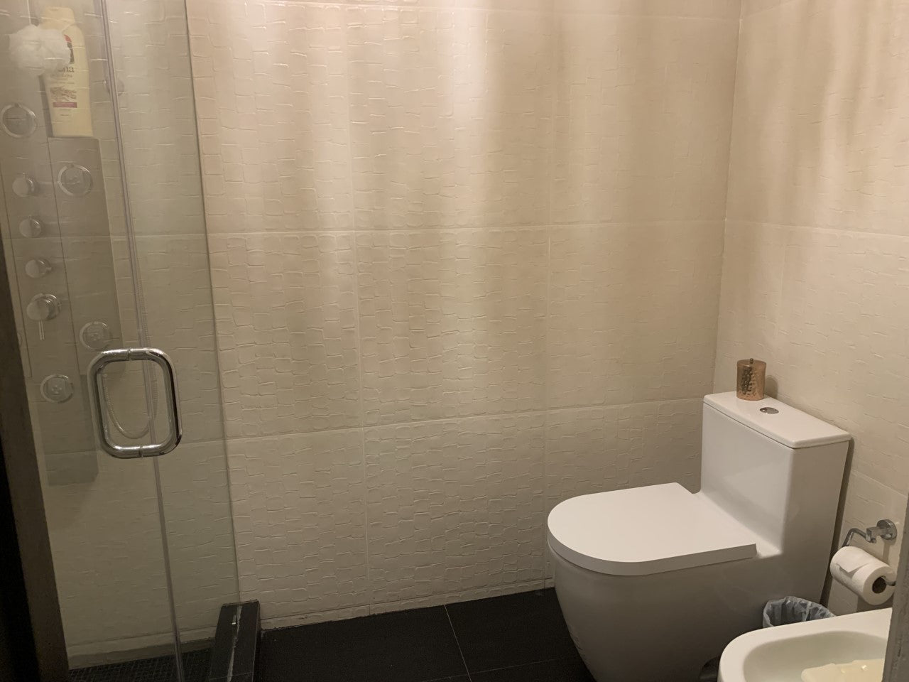 Exclusive Penthouse Condo - La Pocita